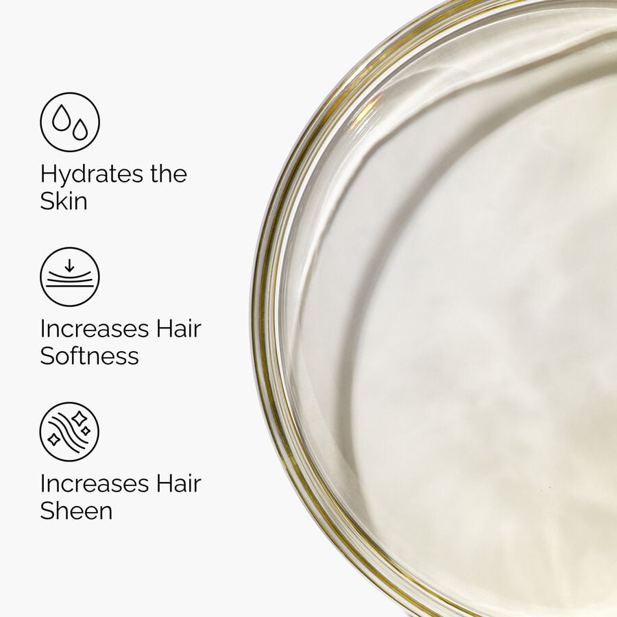 100-organic-cold-pressed-moroccan-argan-oil-k6 FY25-D41247-ORD-Web-PDP-100-Argan-Oil-1x1-EN-3.jpg